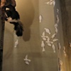 Flock Installation at Bahdeebahdu