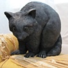 They were scratching (Raccoon)
