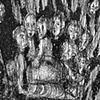 Some Armenians 1/4