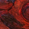 Detail of Sebastian
