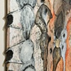 Fire Flies
Side View Detail