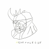 ALLVERULEGUR