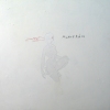 ALDURRAN