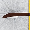 &Oacute;NEFND