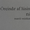 &Ouml;reindir af l&uacute;sinni