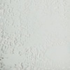 WHITE POWDER 