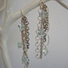 Holly Earrings