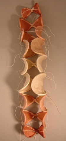 Vertebrae (back view)