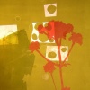 Heliotrope 2