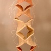 Vertebrae
