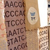 Genetic Drift (detail) 
