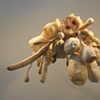 Sculptural Paper 