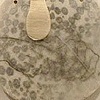 Exhibition at McLean Project for the Arts (detail)