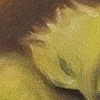 Lizard (detail)