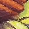Baracho (detail)