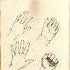 Hands