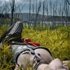 Serenity in the grass