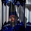 The things we cage