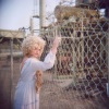 On the Fence