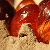 eggs detail