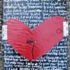 Open Heart Doors