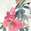 Peony