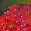 Poppies 