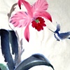 Hummingbird