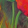 Poppy 2