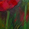 Poppy 1