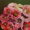 Poppies
