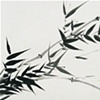 Bamboo