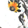 Looking up at the Sun(flower)