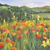 Poppy Field