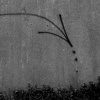 Arrow To Mother Earth