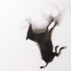 Diving Horse