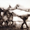 Alinga Trio with Anna Karma Fala