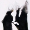 Dancing Bear