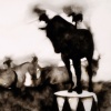 Horse on Barrel