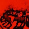 Loomis' Elephant ring
