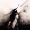 Horse & Rider