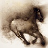 Ride 10