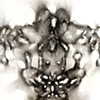 Mosquito, Dots, Racoon, Printing Press