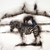Anna Alinga Backbend on Zebra