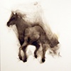 Alinga Horse 3