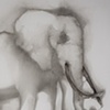 Impossible Elephant