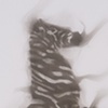 Tijuana Zebra Trick