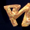 RYCA 