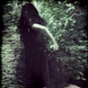 Untitled In The Woods (2)