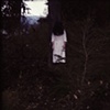 Untitled In The Woods